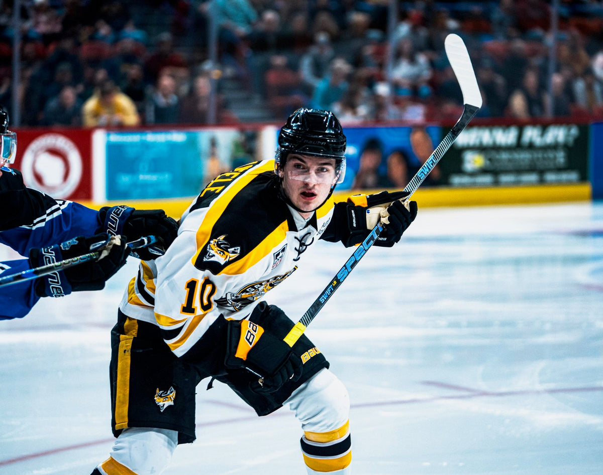 Two ice hockey players in action on an ice rink with spectators in the background.